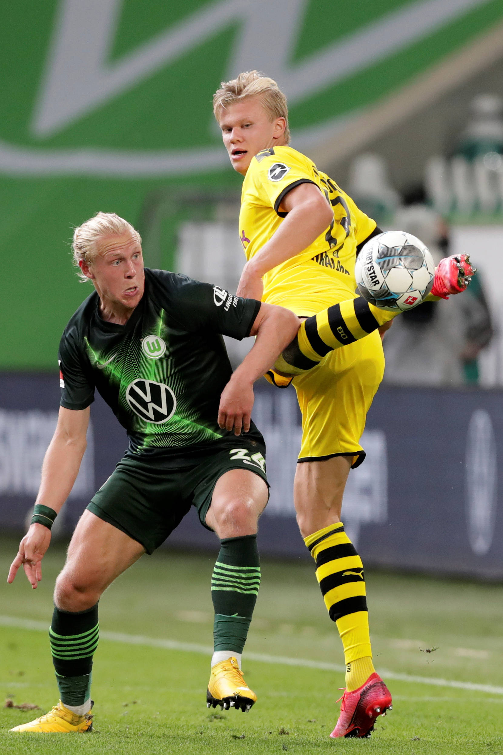 这一标题揭 这一标题揭